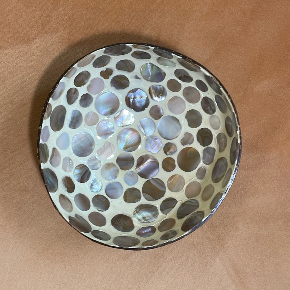 Decorative Coconut Bowl